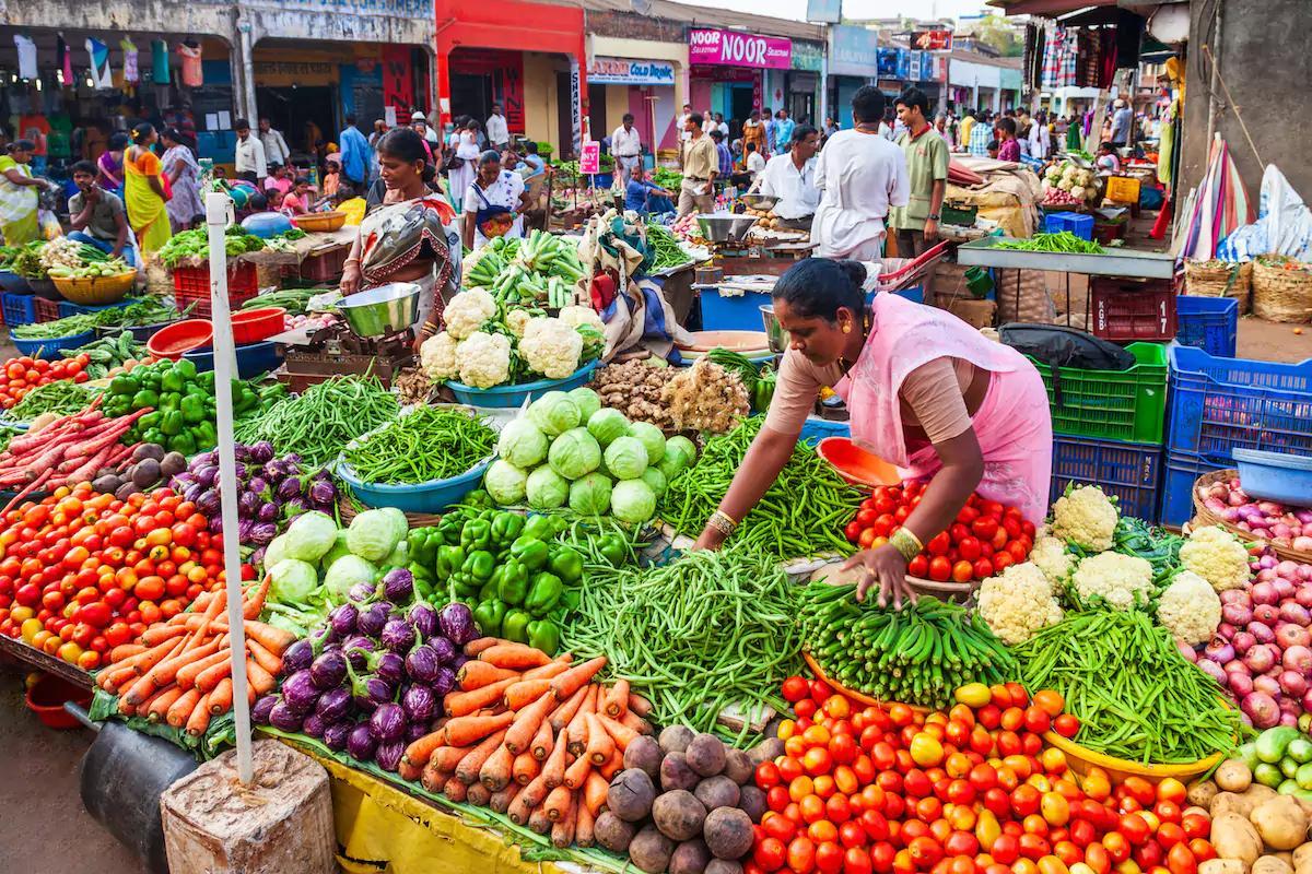 Landscape of Climate Finance for Agrifood Systems