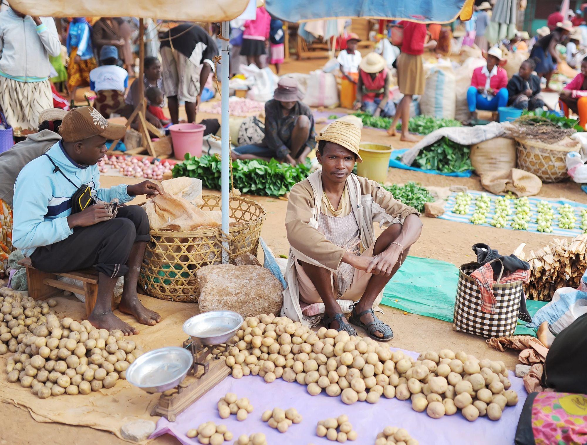 Connecting Capital within African Agrifood Systems