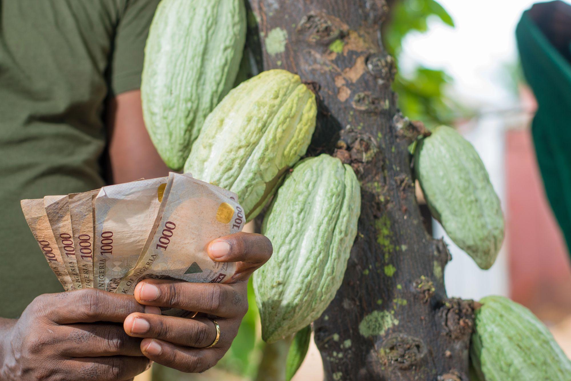 Supported by CLIC, agri-fintech Winich Farms raises USD 3 million in seed funding
